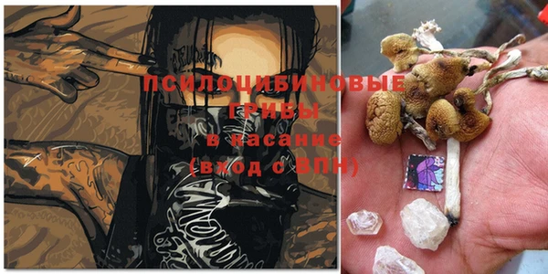 дживик Аркадак