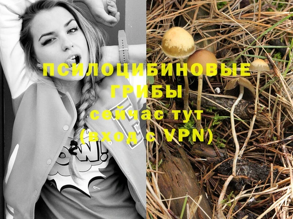 дживик Аркадак