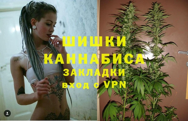 дживик Аркадак