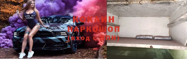 дживик Аркадак