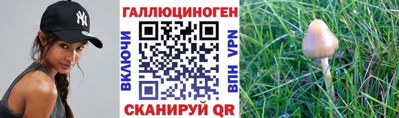 MEGA ССЫЛКА  Россошь  Галлюциногенные грибы ЛСД  наркота 